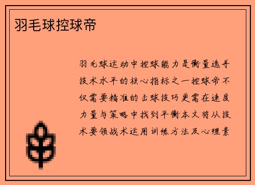 羽毛球控球帝